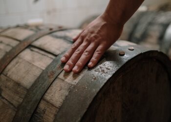 La conception d’un tonneau de vin Bourguignon