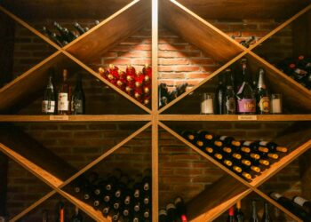 Mes cinq conseils pour bien commencer sa cave à vin, un guide pour les amateurs passionnés